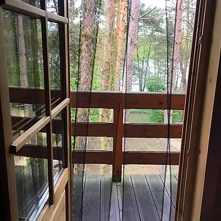 ホテル Z Bali Tryszczyn Nad Brda Maksymiljanowo