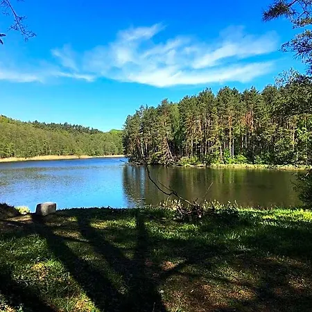 Z Bali Tryszczyn Nad Brda * Maksymiljanowo