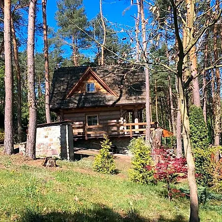 ホテル Z Bali Tryszczyn Nad Brda Maksymiljanowo
