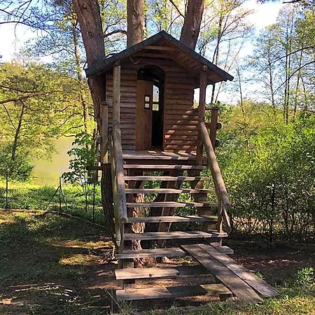 ホテル Z Bali Tryszczyn Nad Brda Maksymiljanowo